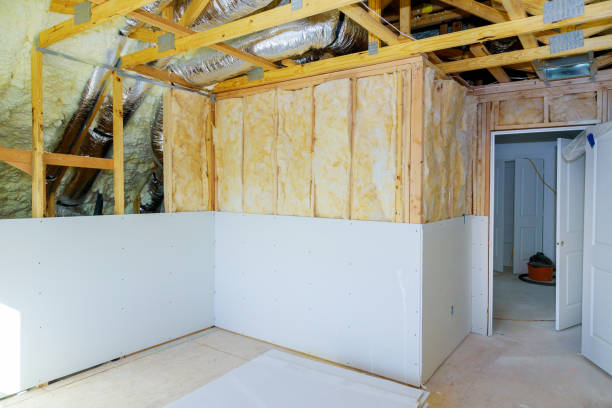 Best Insulation Removal Services  in USA