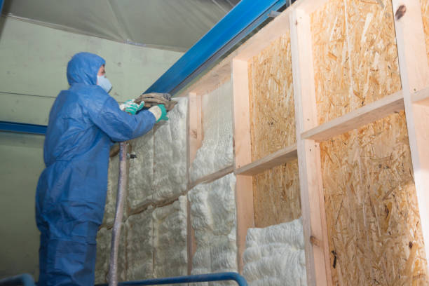 Best Crawl Space Insulation  in USA